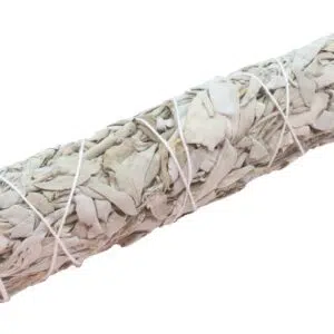 Bâton sauge blanche - Grand modèle - 21cm