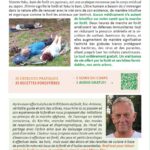 Livre les bienfaits des bains de forêt.