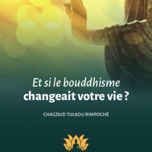Livre : Et si le bouddhisme changeait votre vie ?
