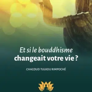 Livre : Et si le bouddhisme changeait votre vie ?