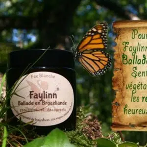 description bougie Faylinn.