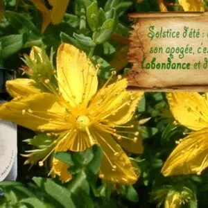 Présentation bougie Litha.