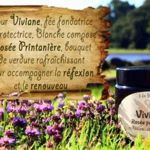 Présentation bougie fée Viviane.