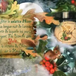 Présentation bougie Yule.