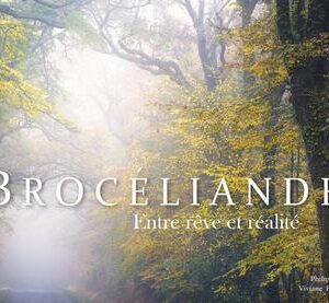 Livre : Brocéliande - Entre rêve et réalité.