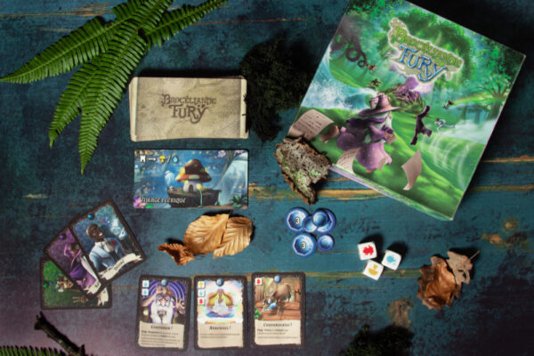 Jeu : Brocéliande Fury - Arthur Pelletier & Fabian Mosakowski – Image 2