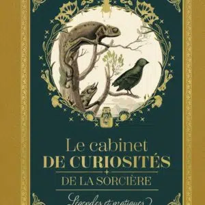 Livre : Le cabinet de curiosités de la sorcière.