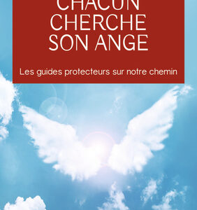 Livre : Chacun cherche son ange.