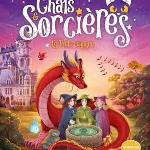 Livre : Chats & Sorcières T3 : Le puits magique.