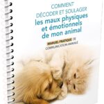 Livre Comment comprendre et soulager les maux physiques et émotionnels de mon animal.