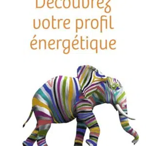 Livre : Découvrez votre profil énergétique - Un programme personnalisé pour être en pleine forme.