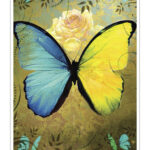 Coffret : Destin sacré (cartes oracle).