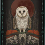 Coffret : Earth & Bone (cartes oracle).