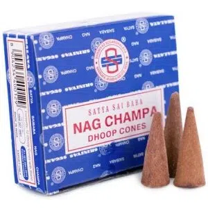 Boîte de cônes d'encens Nag Champa.