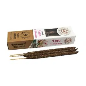 Boite de bâtons d'encens Botanical : Lotus et Oliban - Green Tree.