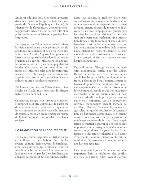Esprits Celtes : traditions, symboles, divinités - Alexandra MacCorvus – Image 4