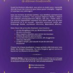 Le Grand livre des Power Soins