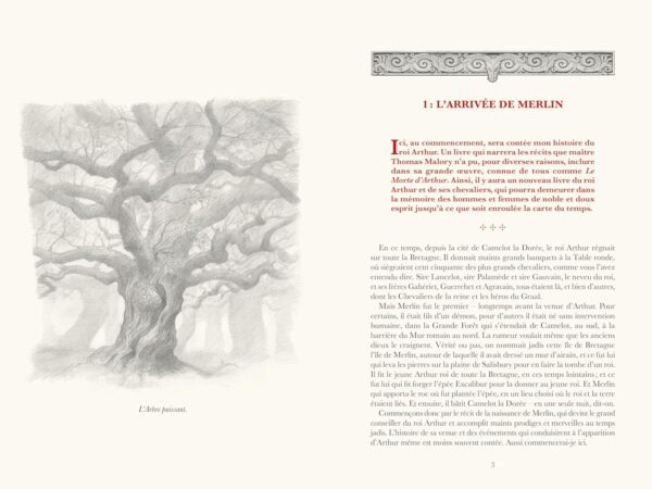 Le Grand livre du Roi Arthur et des chevaliers de la table ronde - John Matthews – Image 4
