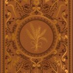 Grimoire vierge : Lugnasad (marron).