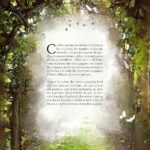 Livre Herboristerie médiévale et plantes magiciennes.