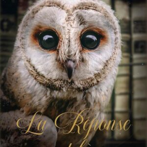 Coffret oracle la réponse est là.