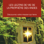 Livre : Les leçons de vie de la prophétie des Andes.