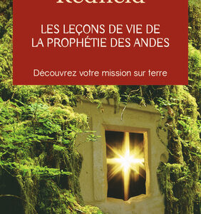 Livre : Les leçons de vie de la prophétie des Andes.