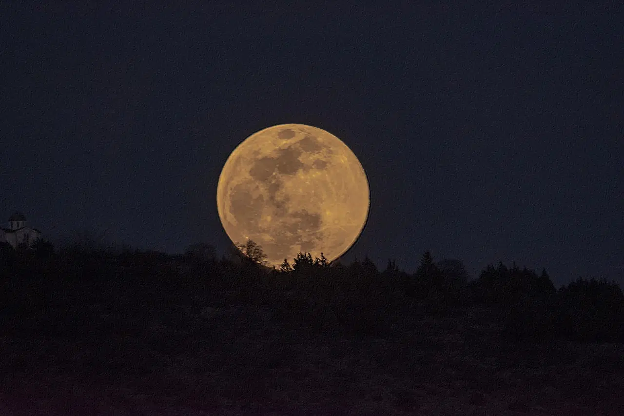 Lever d'une pleine lune au dessus d'une forêt.