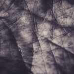 Chiromancie : Les lignes de la main