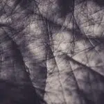 Chiromancie : Les lignes de la main