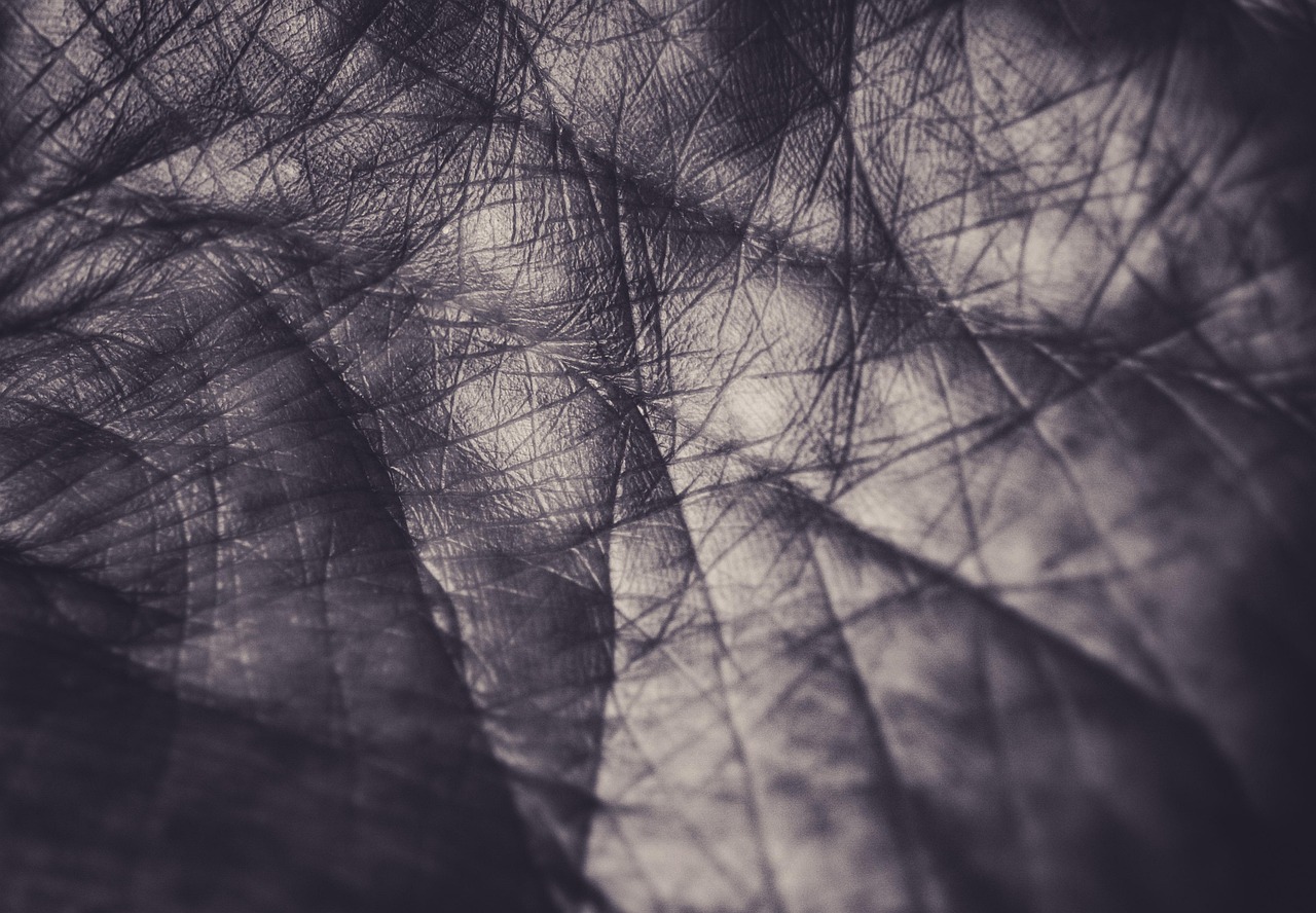 Lignes de la main en noir et blanc.