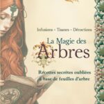 Livre La magie des arbres : Recettes secrètes oubliées à base de feuilles d'arbre.
