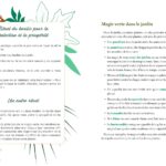 Livre Magie des plantes : Les secrets d'une vraie sorcière.