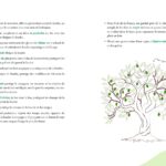 Livre Magie des plantes : Les secrets d'une vraie sorcière.