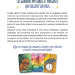 Coffret oracle : La magie des dragons protecteurs.