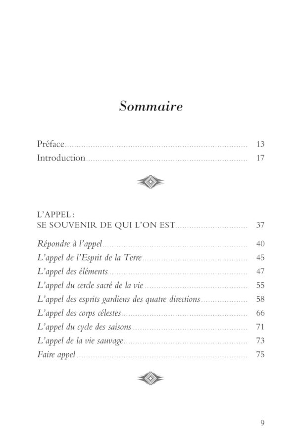 Le Manuel du chaman : rituels et pratiques au quotidien - Denise Linn – Image 4