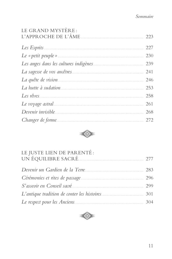 Le Manuel du chaman : rituels et pratiques au quotidien - Denise Linn – Image 6