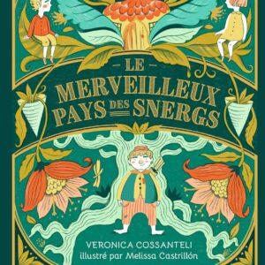 Livre : Le Merveilleux Pays des Snergs.