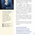 Livre : Les messages des heures miroirs.