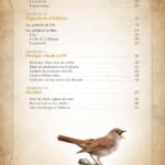 Livre: Mon grimoire des 4 saisons.