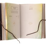 Livre : Mon journal de sorcière.