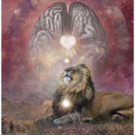 Les murmures de votre intuition (cartes oracle).