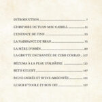 Livre Mythes Celtiques : récits légendaires de Héros et de Dieux.