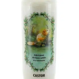 Bougie neuvaine animal totem castor.