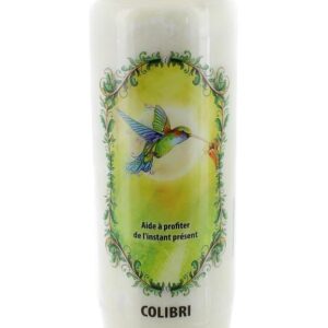 Bougie neuvaine animal totem colibri.