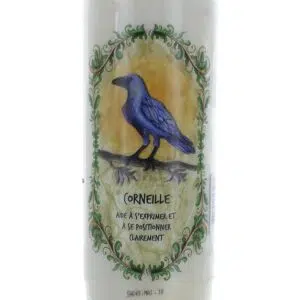Bougie neuvaine animal totem corneille.