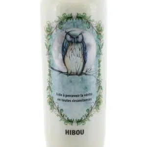 Bougie neuvaine animal totem hibou.