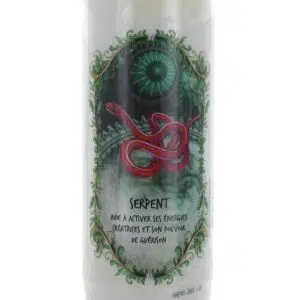 Bougie neuvaine animal totem serpent.
