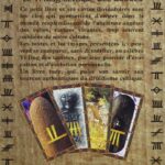 Livre Ogham : Le Yi-King celtique des arbres.