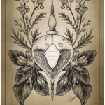 Coffret oracle : Antidote magique.
